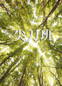 日本一区二区三区免费观看
